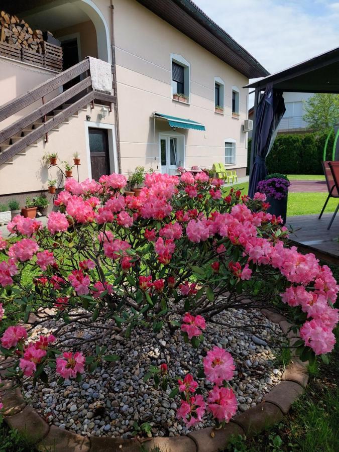 Studio Apartma Zirovnik Cerklje na Gorenjskem Eksteriør bilde